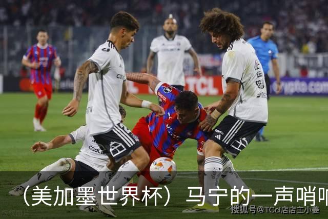 （美加墨世界杯）马宁的一声哨响，中国足球的另一种抵达